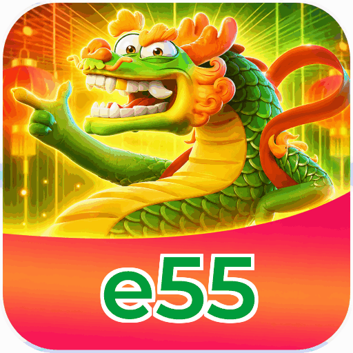 e55