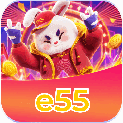 e55