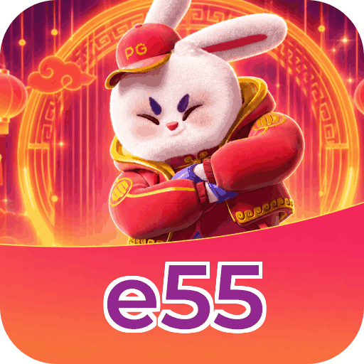 e55